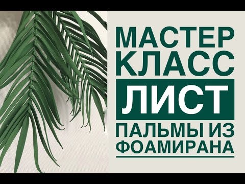 Видео: Как сделать лист пальмы из фоамирана / DIY palm leaf / Como fazer uma folha de palmeira