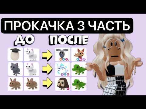 Видео: 3 ЧАСТЬ ПО ПРОКАЧКЕ СТАРОГО АККАУНТА В АДОПТ МИ | С НУЛЯ