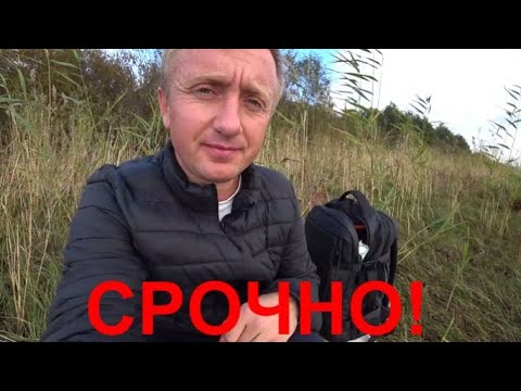 Видео: Срочный выпуск. Не могу справиться с зависимостью к сахару.  Что делать дальше не знаю.