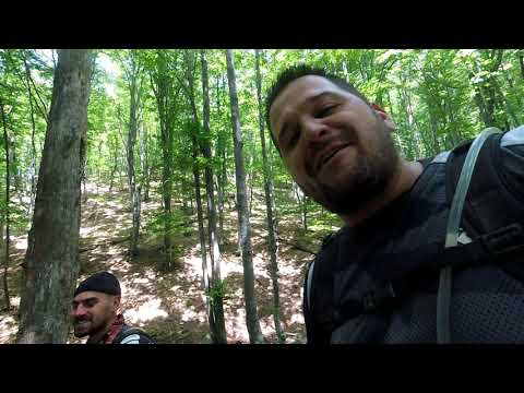 Видео: Бухово 07/06/2020🙈🙉🙊