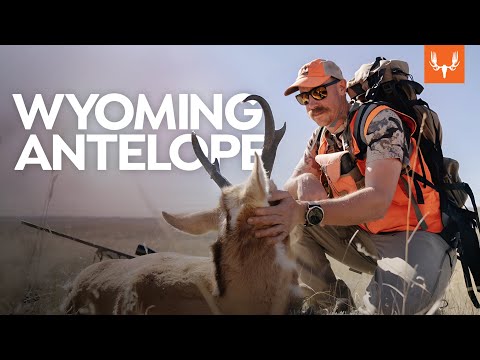 Видео: Wyoming Antelope с Райаном Каллаганом | Cal in the Field