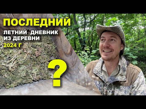 Видео: Дневник натуралиста. Молоко и сено