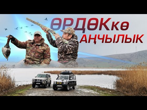 Видео: Шамалды-Сай ОРДОККО анчылык / 2023