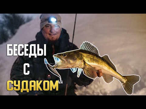 Видео: Москва-Река. Беседы с судаками.