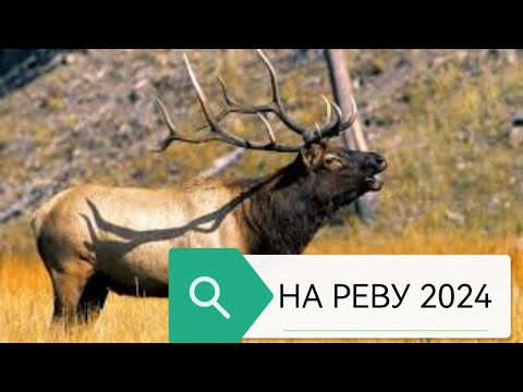 Видео: ИЗЮБРЬ НА РЕВУ 2024