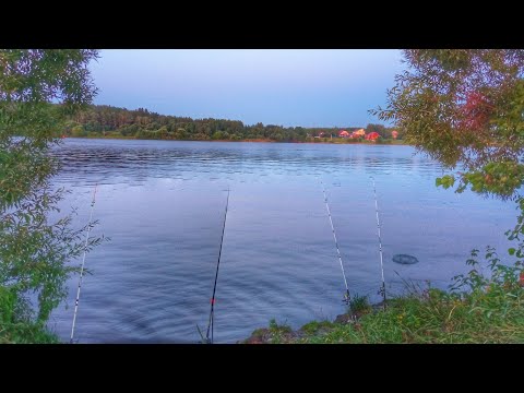 Видео: НОЧНАЯ РЫБАЛКА НА ЛЕЩА Ловлю на донки Мотопутешествие часть 1 Russian fishing