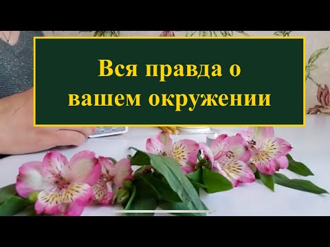 Видео: ❗️Вся правда о вашем окружении⁉️ Смотрю на  воске и таро 🔞