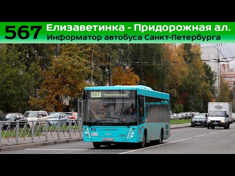 Видео: Информатор автобуса СПб: №567 (пос. Елизаветинка - Придорожная ал.)