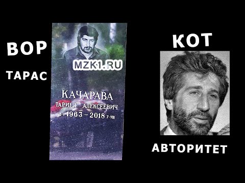 Видео: Вор Тарас и авторитет Кот