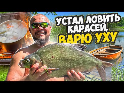 Видео: СМОТРЕТЬ ТОЛЬКО ТЕМ, КТО ЛЮБИТ ЖИТЬ НА ПРИРОДЕ ХОРОШИЙ КЛЁВ И УХА РЫБАЛКА В ГОЛЛАНДИИ 2ч