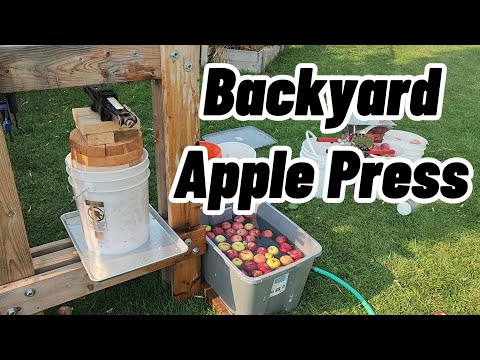 Видео: Пресс для яблок на заднем дворе // Яблочный сидр // Сделай сам
