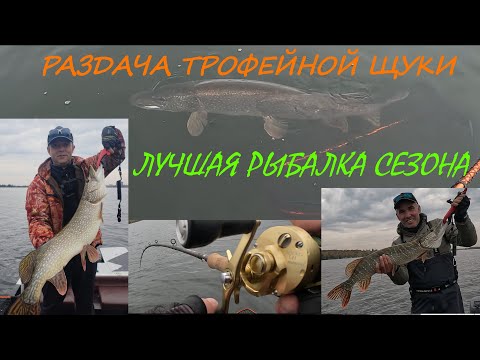 Видео: Лучшая рыбалка сезона.  Раздача трофейных щук.