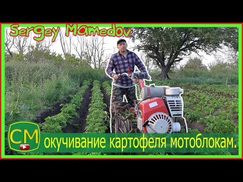 Видео: ➤окучивание картофеля мотоблокам. 2020