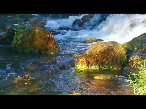 Видео: Звуки Природи для Твого Сну та Відпочинку| Звук Води