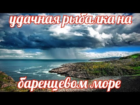 Видео: УДАЧНАЯ РЫБАЛКА НА БАРЕНЦЕВОМ МОРЕ.