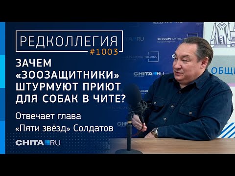 Видео: Зачем «зоозащитники» штурмуют приют для собак в Чите? Отвечает глава «Пяти звёзд» Солдатов