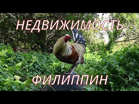 Видео: Хочу купить недвижимость на Филиппинах? Вы хорошо подумали!? Сначала посмотри это ВИДЕО!!! Думагете