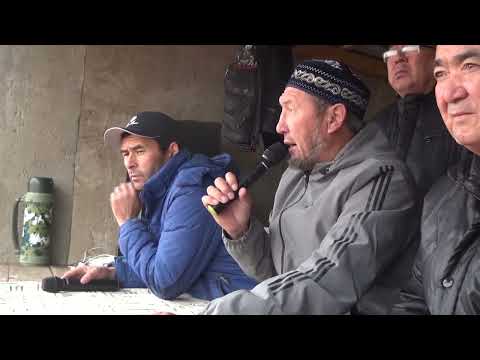 Видео: 08.11.2023 Сарыағаш Сейдан қожа мырзаның көкпар тойы