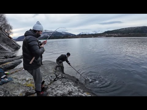 Видео: Рыбы КИШИТ!!! Попали на рыбные стада… Рыбалка Норвегия 2024