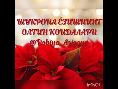 Видео: ШУКРОНАЛИК ЁЗИШНИНГ ОЛТИН КОИДАЛАРИ