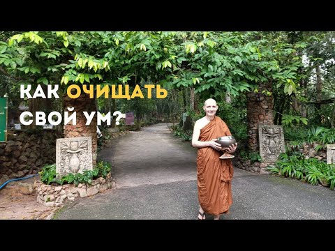 Видео: Чистый ум. Практика с Аджаном Хубертом 2025.09.27