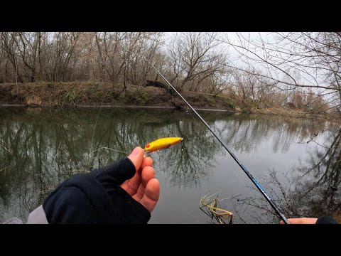 Видео: З УЛЬТРАЛАЙТОМ НА ЗАКОРЧОВАНУ ПОКИНУТУ РІЧКУ! Коли воблери працюють краще ніж силікон!