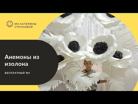 Видео: Мастер-класс "Анемоны из изолона" мастер-класс по созданию  ростовых цветов/ DIY