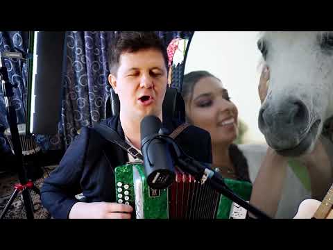 Видео: Проезжала конница