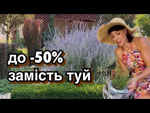 Видео: Що отримала -посаджу замість туй. Саджанці перовскії теж прийшли