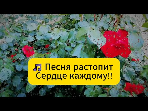 Видео: 🔥 Ещё Наши Родители обожали Эту Песню! Расставание!!!