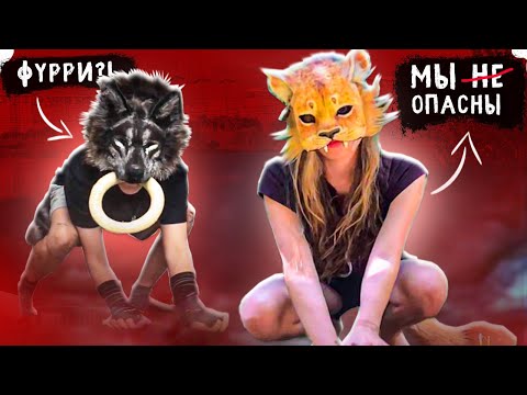 Видео: ФУРРИ КВАДРОБИКА - НА НИХ ОБЪЯВИЛИ ОХОТУ