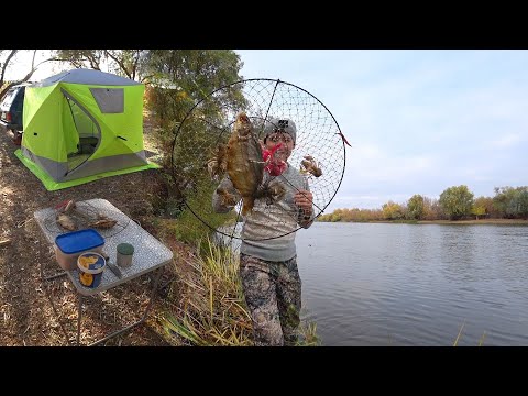 Видео: УХ! ДА ТУТ РУКАМИ ЛОВИТЬ МОЖНО. РЫБАЛКА С НОЧЕВКОЙ. Ловля раков. Осенняя рыбалка на донную удочку.