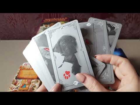 Видео: Коллекция моих оракулов.#обзор #оракулы