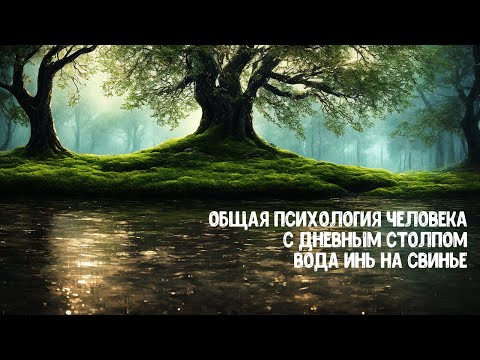 Видео: Психология БаЦзы: дневной столп Вода Инь на Свинье