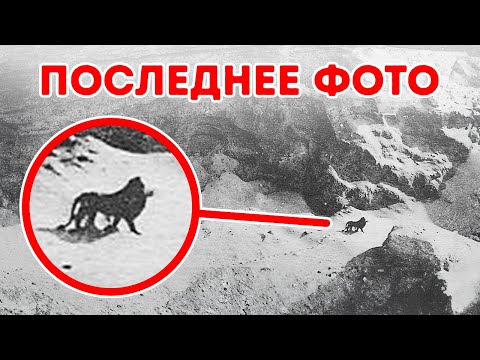 Видео: Последние встречи с вымершими видами