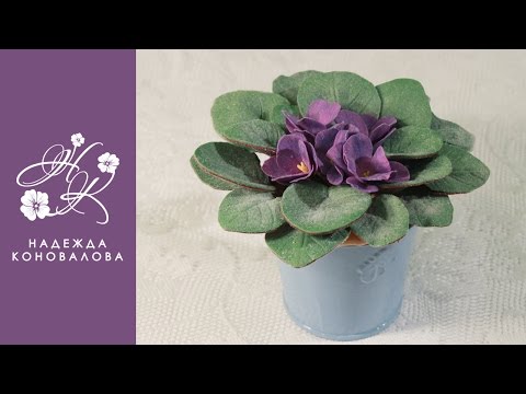Видео: Фиалки из фоамирана - мастер-класс