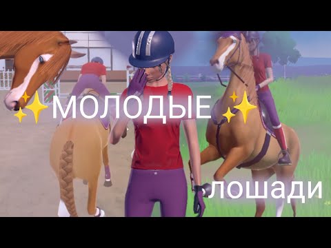 Видео: || Молодые лошади и их особенности || ~ Equestrian The Game ~