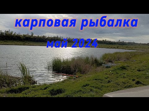 Видео: КАРПОВАЯ РЫБАЛКА МАЙ 2024