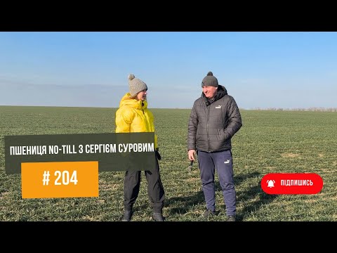 Видео: #204 Сергій Суровий: No-Till Пшениця на Півдні – Реальний Досвід, Виклики та Плани на Майбутнє.
