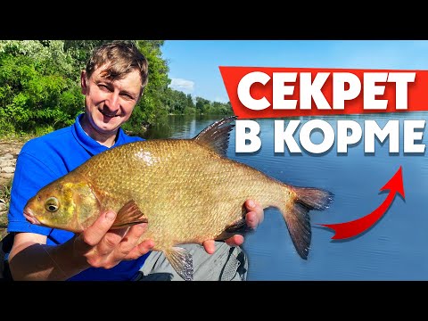 Видео: Ловим КРУПНОГО ЛЕЩА на реке фидером! Рыбалка 2020!