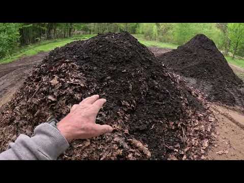 Видео: Быстрое превращение листьев в почву (см. ссылку на статью ниже для скептиков)