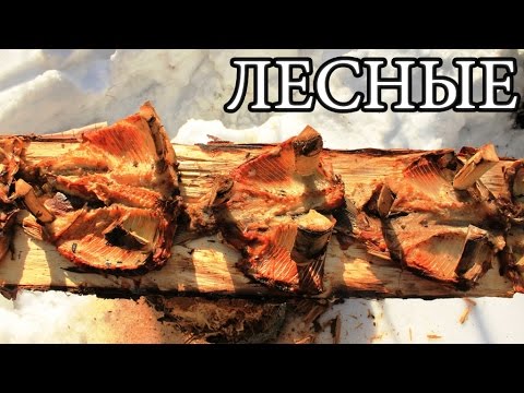 Видео: Дикая кухня - ЖАРЕНАЯ РЫБА НА ДОСКЕ | Деревянные гвозди - Planked Fish