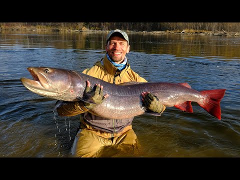 Видео: Большое рыболовное путешествие. Часть 3.  Тугур. Теория и практика.