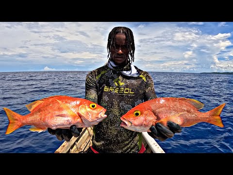 Видео: Deep Sea Double Trouble – Издание Monster Snapper