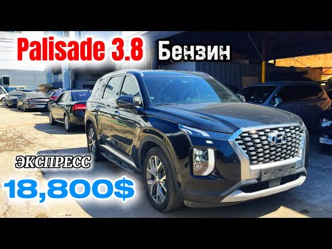 Видео: Palisade 3.8 БЕНЗИН || 🇰🇬🇰🇷 Focus trading