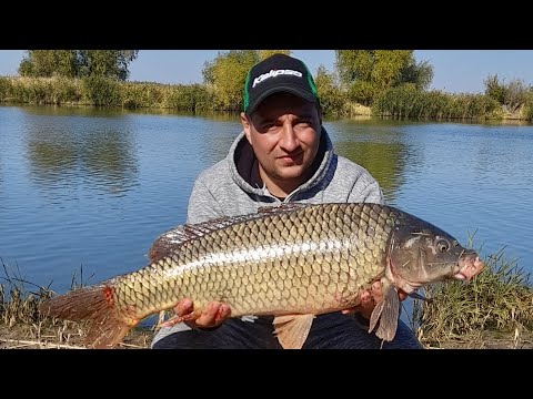 Видео: Рыбалка на Днестре (Глубокий Турунчук 2022 #рыбалка #днестр #глубокий #рекомендации