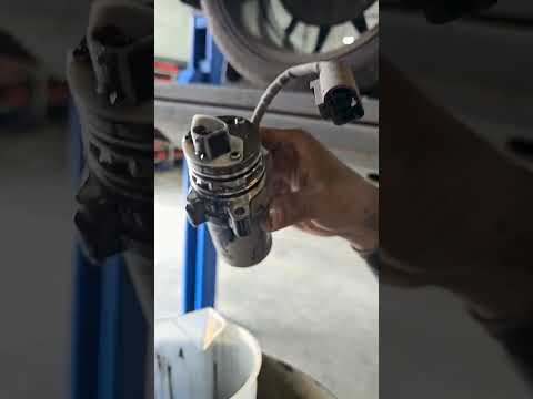 Видео: Они говорят на весь срок службы ...