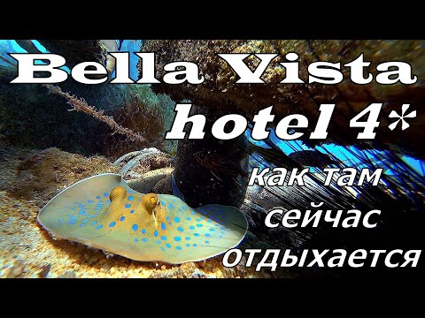 Видео: BELLA VISTA 4* Хургада. В пик сезона. Что с ним не так? Обзор отеля. Подводный мир отеля.