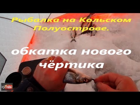 Видео: Рыбалка на Кольском Полуострове.  Как разловил  новую рыболовную приманку.