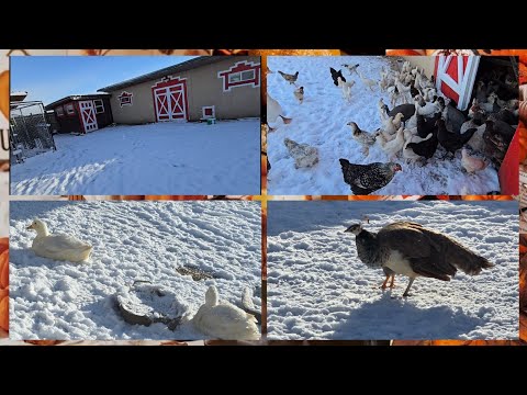 Видео: НИКТО ЭТОГО НЕ ОЖИДАЛ. 